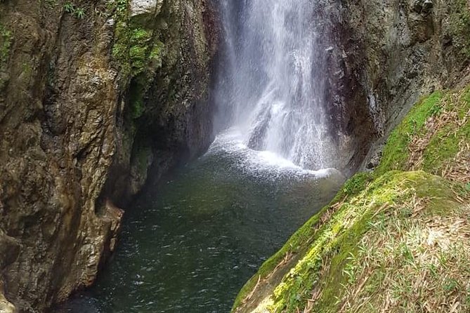 2 Hours Trekking Waterfall Tour in Tobago - Key Things That Make This Waterfall Trek Work
