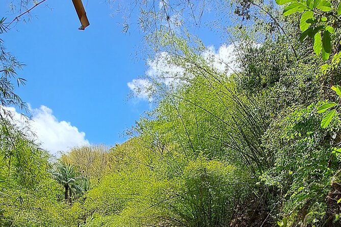 2 Hours Trekking Waterfall Tour in Tobago - Getting Started at Buccoo Beach (And Why It Matters)