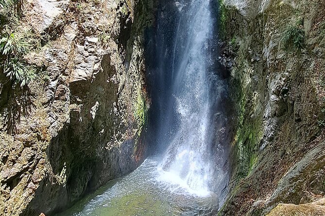 2 Hours Trekking Waterfall Tour in Tobago - What’s Included, and What You’ll Need to Add Yourself