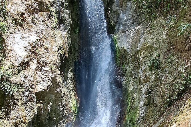 2 Hours Trekking Waterfall Tour in Tobago - Price and Value: Is $156.93 Fair for This 2 to 3 Hour Trek?