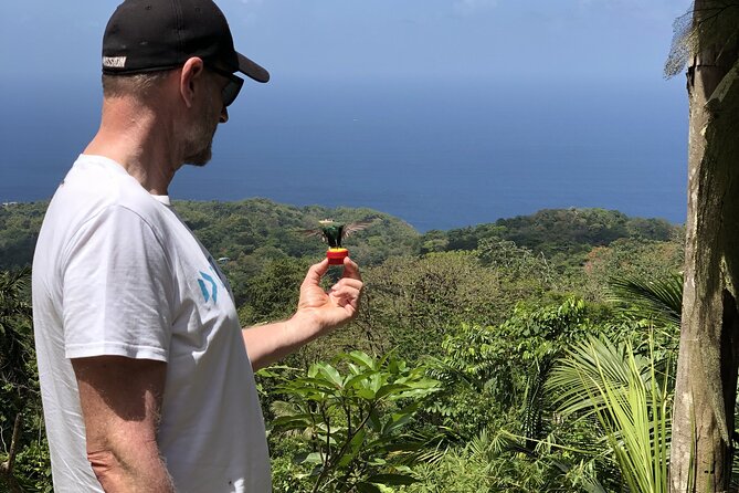 3 Hours Rainforest Walk in Tobago (Private) Lunch + Hummingbirds - Tobago’s world oldest rainforest reserve, on a calm 3 hour schedule