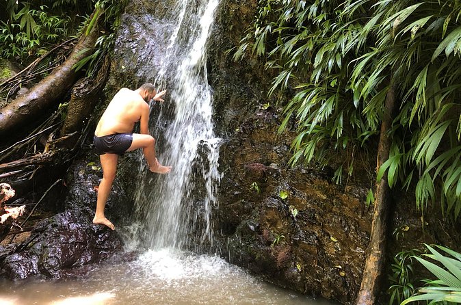3 Hours Rainforest Walk in Tobago (Private) Lunch + Hummingbirds - Weather, rain, and what to do if the forecast turns