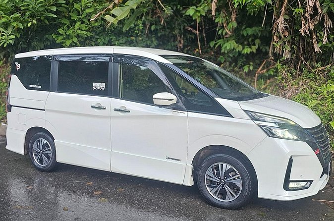Airport Transfer to OR from Accommodation in Trinidad - Private transfer value for couples, friends, and small groups