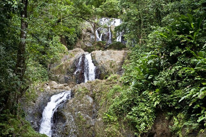 Argyle Waterfall with Adventure Farm - Key highlights that make this tour worth your time