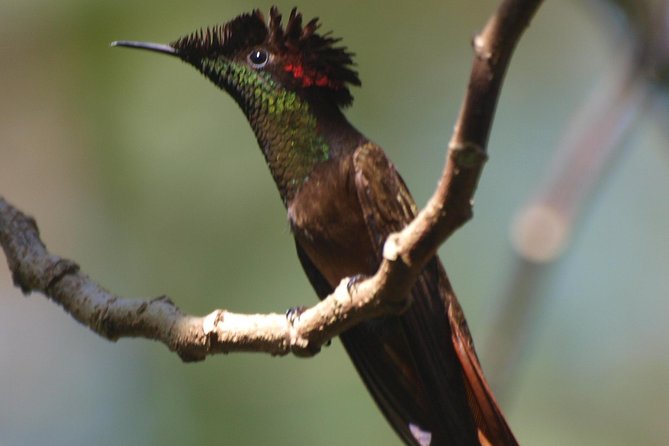 Argyle Waterfall with Adventure Farm - Why Argyle feels special: an ancient protected reserve