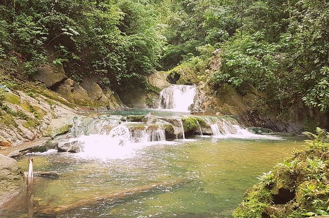 Aripo Waterfall Adventure - At the Aripo River: swimming time and the fish near the entry
