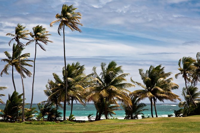 Around the Island - Price and Value: Is $130 a Good Deal for This Route?