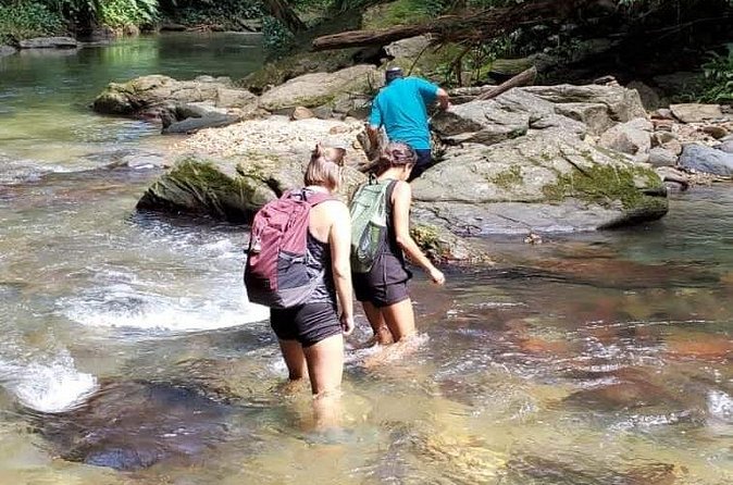 Avocat Waterfall and Beach Tour - Price and value: what $105.39 buys you