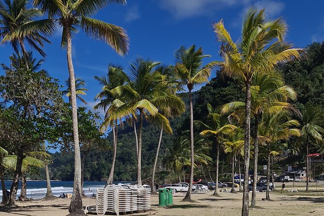 Avocat Waterfall Tour & Beach Stop Adventure - Guide Dominic and the Small-Group Feel That Changes Everything