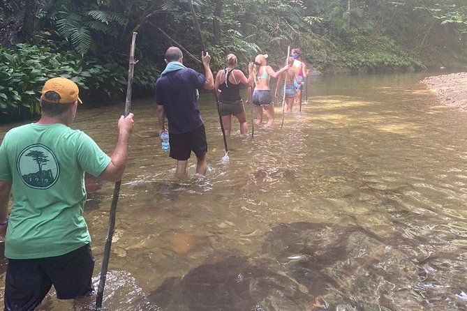 Avocat Waterfall Tour & Beach Stop Package - Who this tour fits best