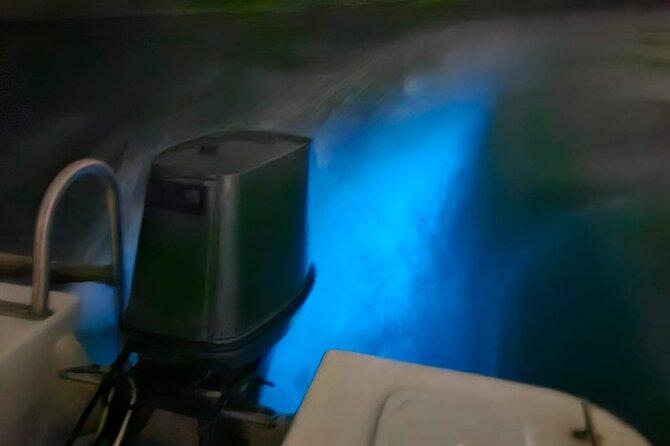 Bioluminescence Tour - Captain Brandon and Captain Phillip: the human part that keeps people happy