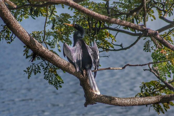 Bird Watching Tours - The special touch: education that still feels fun