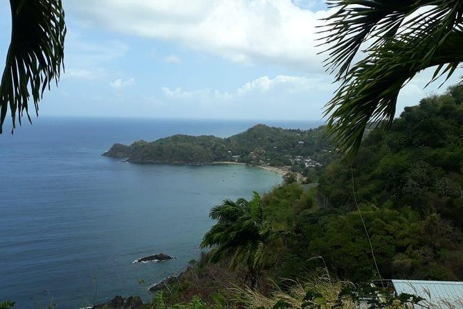 Birdwatching, Waterfall, Rainforest and Island Nature Tours - Getting To the Tobago Forest Reserve, Without Losing Half a Day