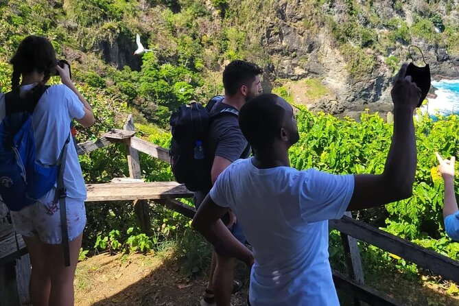 Birdwatching, Waterfall, Rainforest and Island Nature Tours - Transport Reality Check: Vehicle Comfort Can Vary