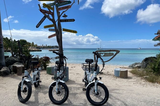 Breeze Through Tobago on an E-bike - Where you end up: returning to the facility and the wrap-up