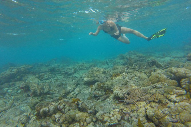 Buccoo Reef and Nylon Pool Adventure - What to bring for a smoother reef and pool snorkeling outing