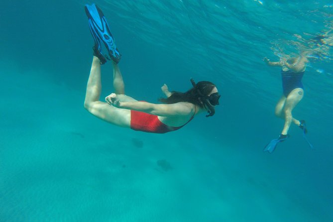 Buccoo Reef and Nylon Pool Adventure - Price and value: what $189 per person is really buying