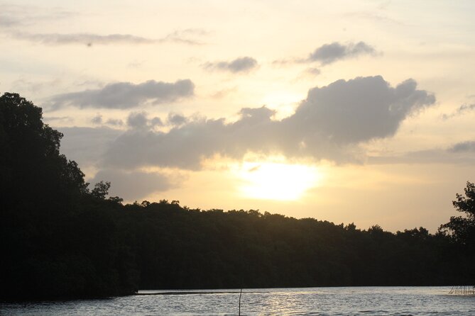Caroni Bird Sanctuary Tour - Small-group pacing: 20 travelers, and why that still feels like a crowd sometimes