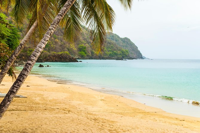 Castara Bay Day Trip with Lunch - Caribbean-style lunch: the included meal you should actually plan for