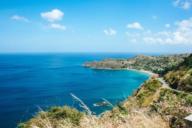 Castara Bay Day Trip with Lunch - What a licensed guide changes about your beach day