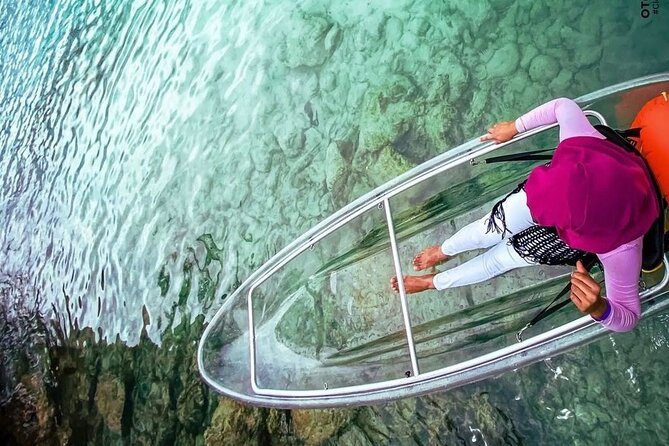 Clear Kayaking in Tobago - The Clear Kayak Experience: What You’ll Actually See Underwater