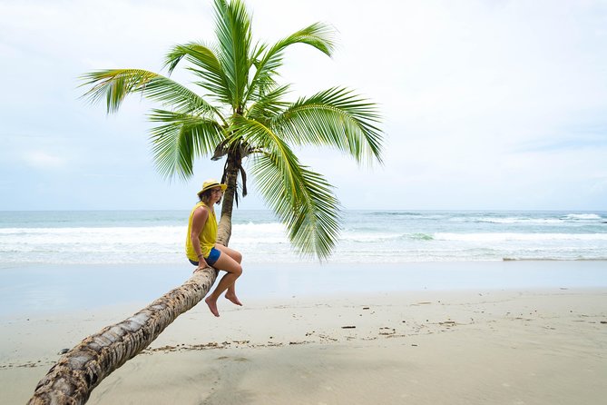 Coastal Tour of Trinidad - Key Highlights at a Glance