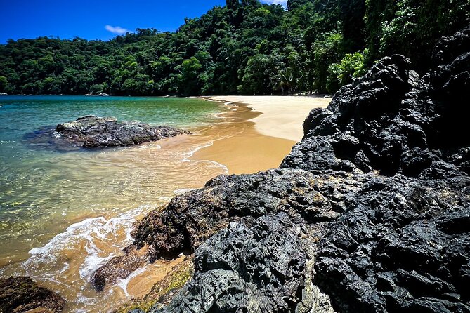 Coastline Snorkel and BBQ - Key highlights you’ll care about