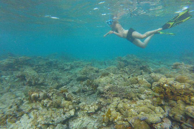 Coastline Snorkel and BBQ - Open boat-bar local dishes and drinks during the ride