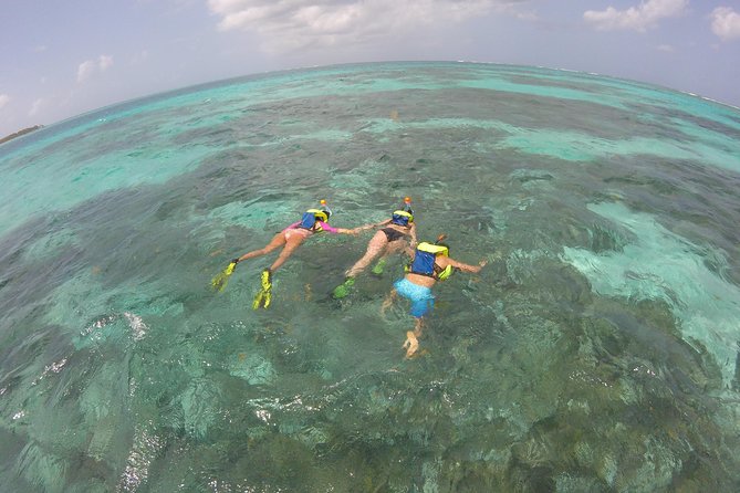 Coastline Snorkel and BBQ - Fun-fishing and sightseeing before you hit the snorkel spots