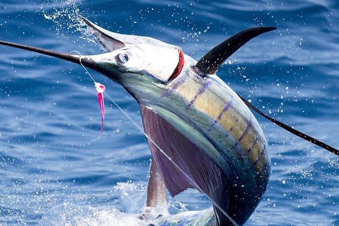 Deep Sea Fishing (Street Food and Beer Included) - Key things to know before you cast