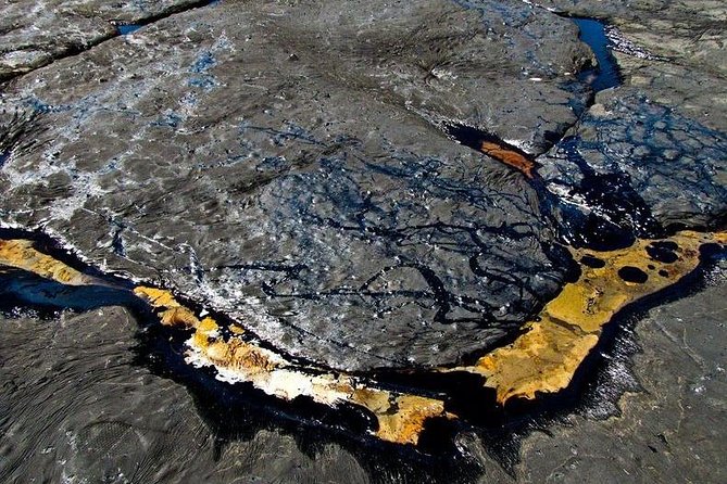 Down South Tour of Trinidad - La Brea Pitch Lake and the Sulfur Pool Experience