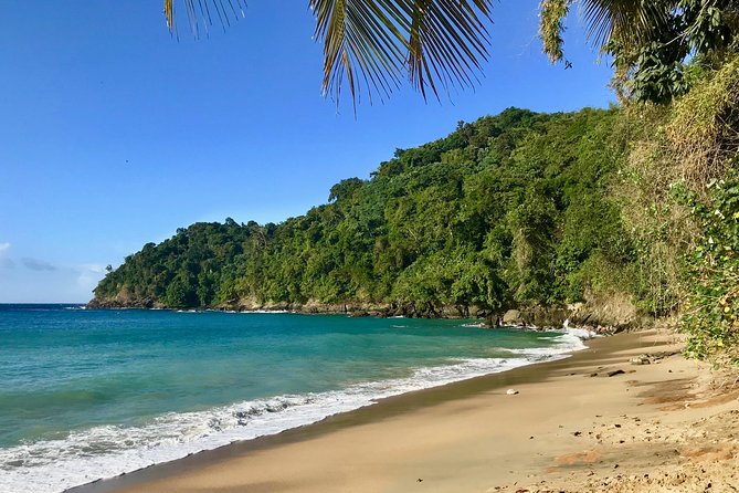 Englishman's Bay Day Trip with Lunch - What you are really paying for at $185 per person
