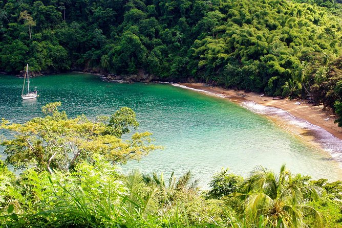Englishman's Bay Day Trip with Lunch - Lunch on island time: Caribbean-style, included, and worth planning around