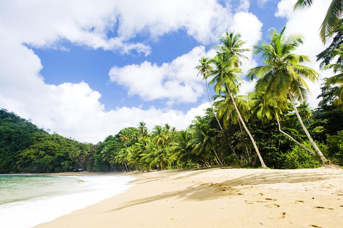 Englishman's Bay Day Trip with Lunch - The guide factor: when communication makes the day easier