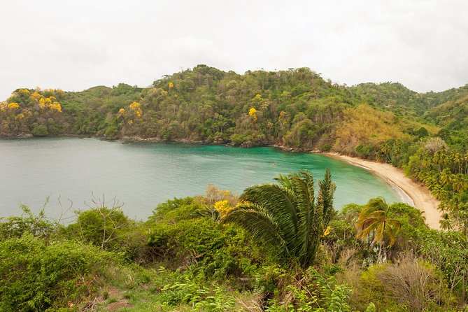Englishman's Bay Day Trip with Lunch - Timing, duration, and what to do with the remaining hours