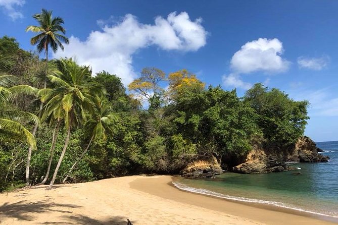 Englishman's Bay Day Trip with Lunch - Englishmans Bay: the main stop where swimming and snorkeling fit