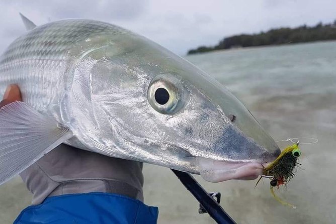 Fly Fishing Tour - Saltwater Fly Fishing at Buccoo Point: What Makes This Spot Work