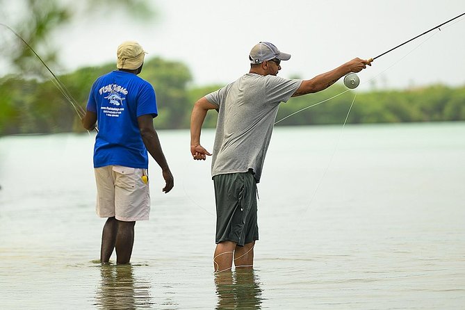 Fly Fishing Tour - Target Species You Might Catch, From Bonefish to Permit