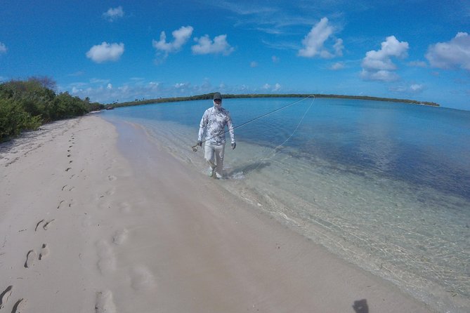Fly Fishing Tour - What It Feels Like On the Water: Action, Variety, and Timing