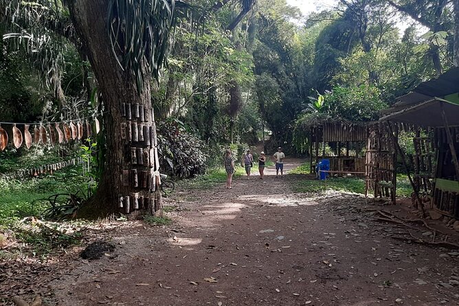 Full Day Group Tour in Tobago Atlantic Coast - Argyle Waterfall: Trail, a Swimming Lagoon, and Optional Local Guidance