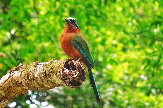 Full Day Group Tour in Tobago Atlantic Coast - Price and Value: Why $180 Might Feel Fair, or Not