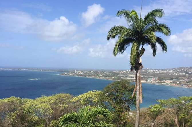 Full Island Tour (Including Lunch & Snorkeling) - Key Highlights You’ll Care About