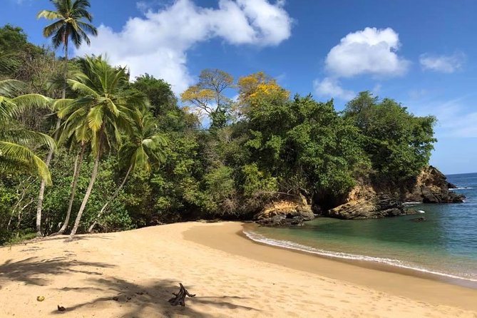Full Island Tour (Including Lunch & Snorkeling) - Morning Pickup and the Small-Group Rhythm