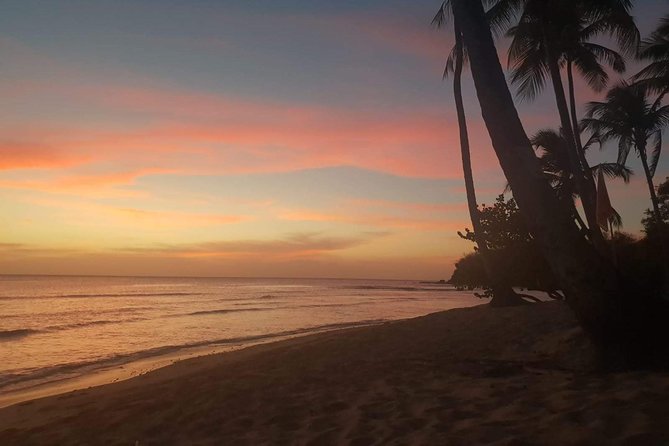 Full Island Tour (Including Lunch & Snorkeling) - Charlotteville: Where the Northern Coast Turns Into Beach Time