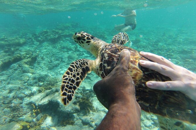 Glass Bottom Nylon Pool Tour in Buccoo Reef - What Captain and Crew Quality Changes in Your Day