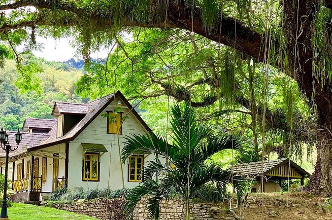 Half-day 3-Course Cocoa Lunch Tour in Trinidad - What to Bring and How to Enjoy It More
