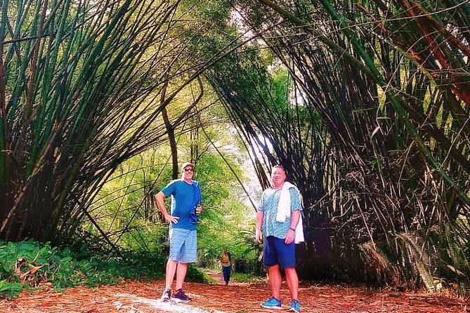 Half Day Group Tour to Tobago Atlantic Coast - Should you book Half Day Group Tour to Tobago Atlantic Coast?