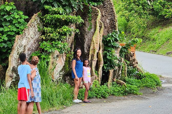 Half Day Tobago Tours with Transfers - Key Highlights You’ll Feel on This Half-Day Tour