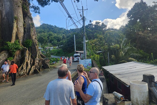 Half Day Tobago Tours with Transfers - Entering Tobago’s Best Hits, Without the Full-Day Grind