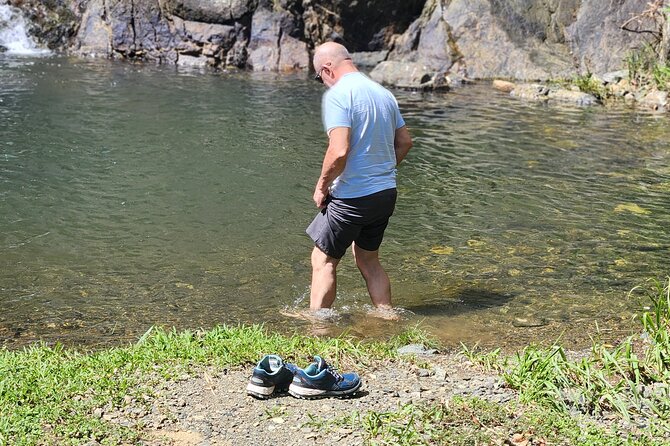 Half Day Tobago Tours with Transfers - Parlatuvier and Hummingbirds: An Optional Experience Worth Considering